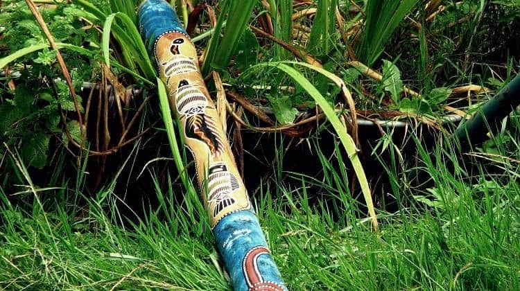 DIY Blowgun: How To Make A Blowgun At Home (or In The Wild)