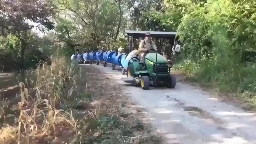 Eugene Bostick, an 80-year-old retiree, noticed that people were abandoning their elderly dogs near his his barn in Texas so he took them in, built a train to take them out on excursions