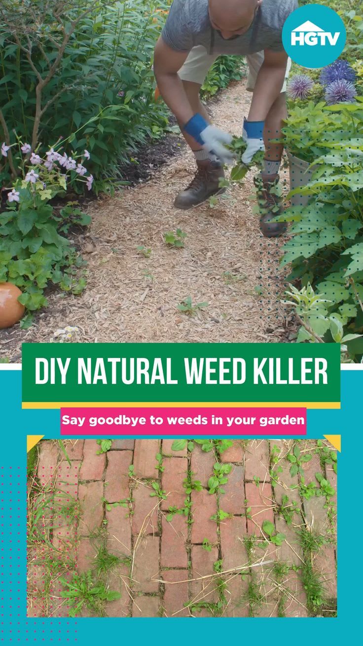 DIY Natural Weed Killers