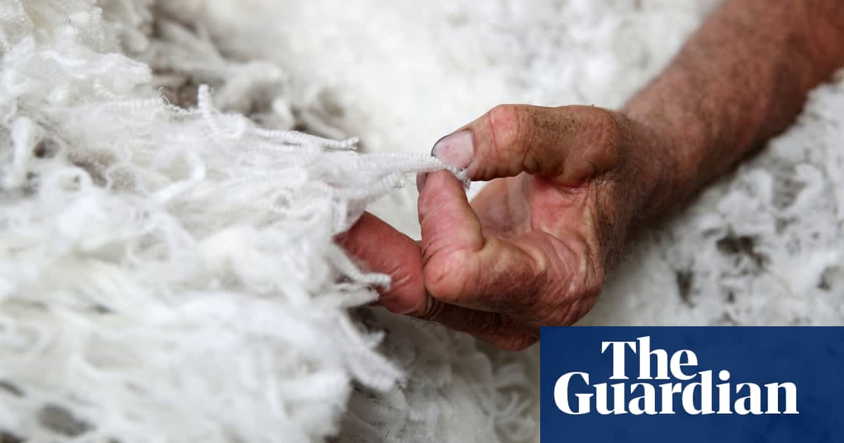 After barley, what next? Australian industries exposed if China trade tensions persist