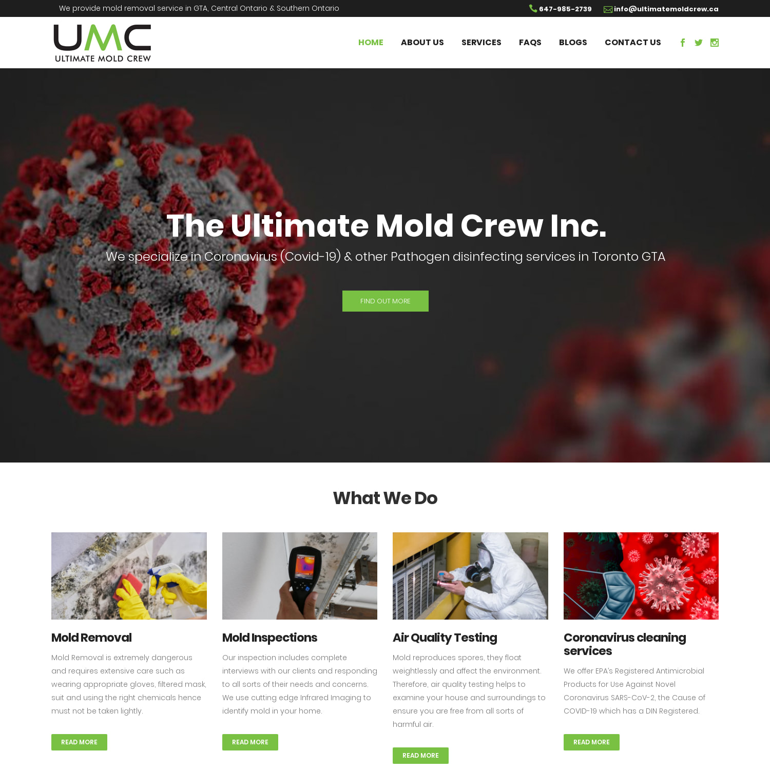 Best Mold Removal and Mold Remediation in Toronto - The Ultimate Mold Crew Inc.