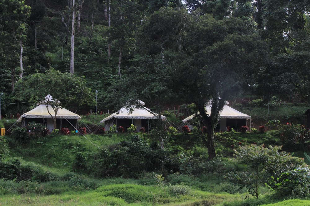 5 Cheapish Places to Stay in Coorg