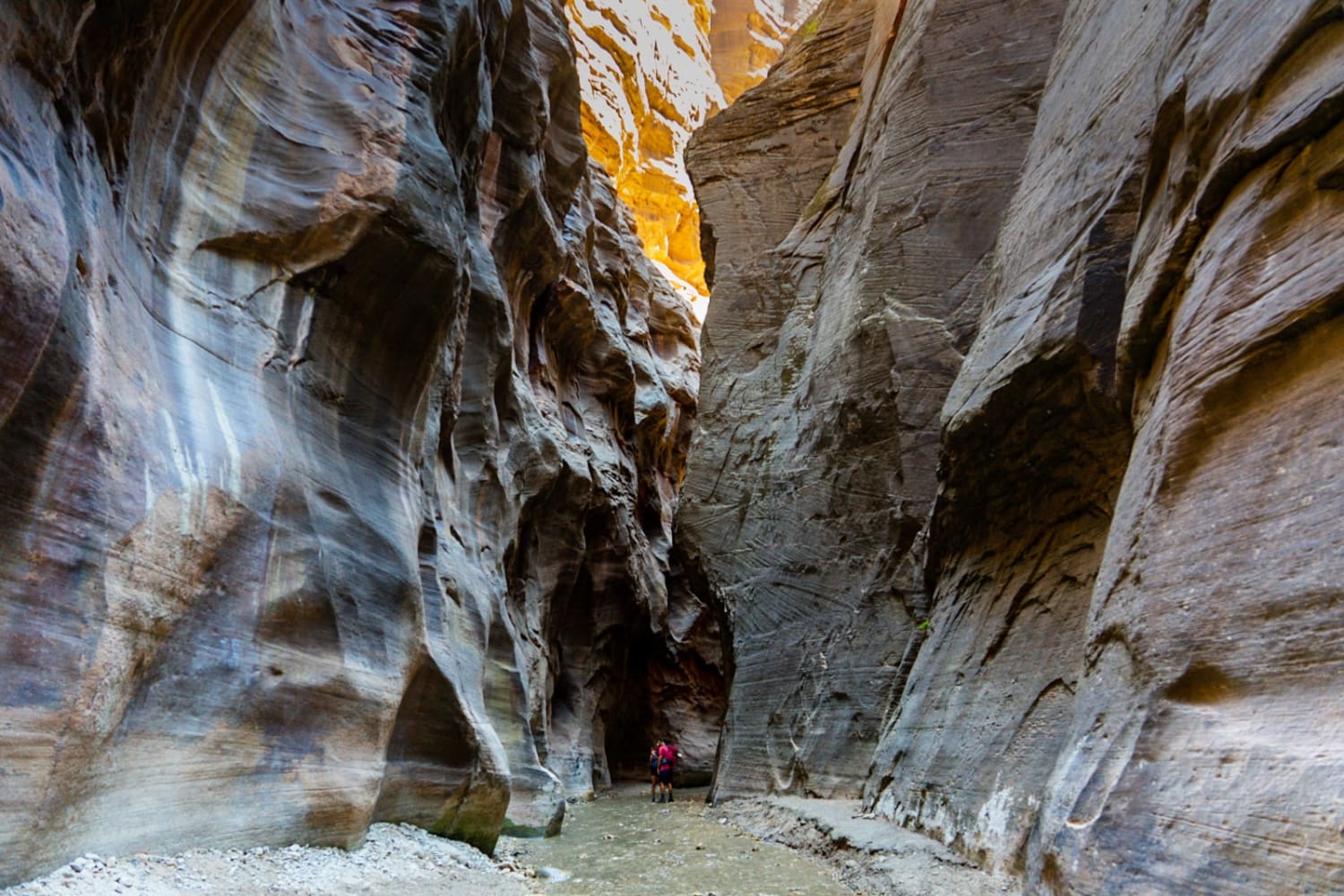 A Beginner's Guide to Hiking the Narrows in Zion