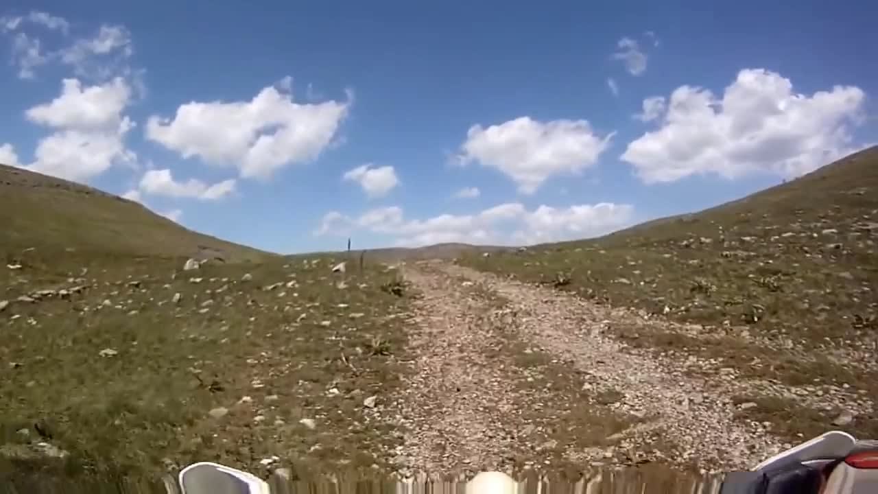Bulgarian Shepherd dogs defending against passing motorbikers