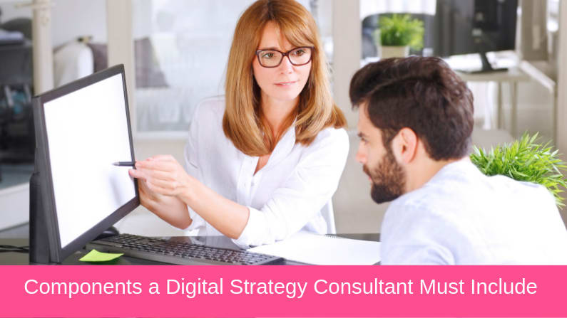 Digital Strategy Consultant 7 Components They Must Include In Their Plan