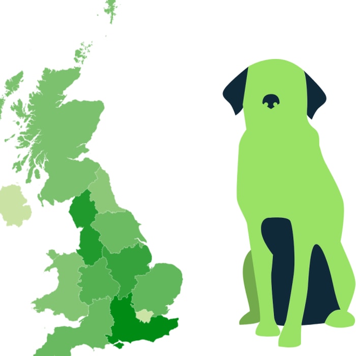 The UK's Most Dog-Friendly Region