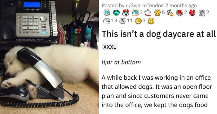 For Months, This Woman Mistakenly Kept Leaving Her Dog At This Office Thinking It’s A Dog Daycare