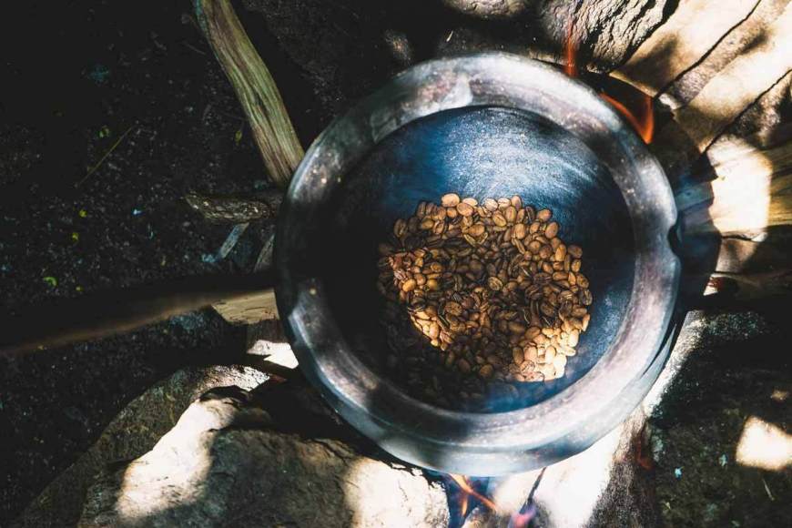 Take a Kilimanjaro Coffee Tour in Moshi: Marangu Coffee Plantations