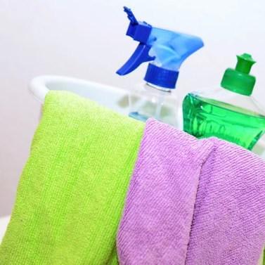 Household Cleaners May Contribute to Obesity in Kids By Altering the Gut Microbiome