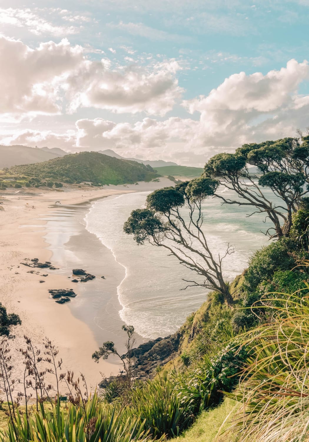 10 Best Hikes In New Zealand