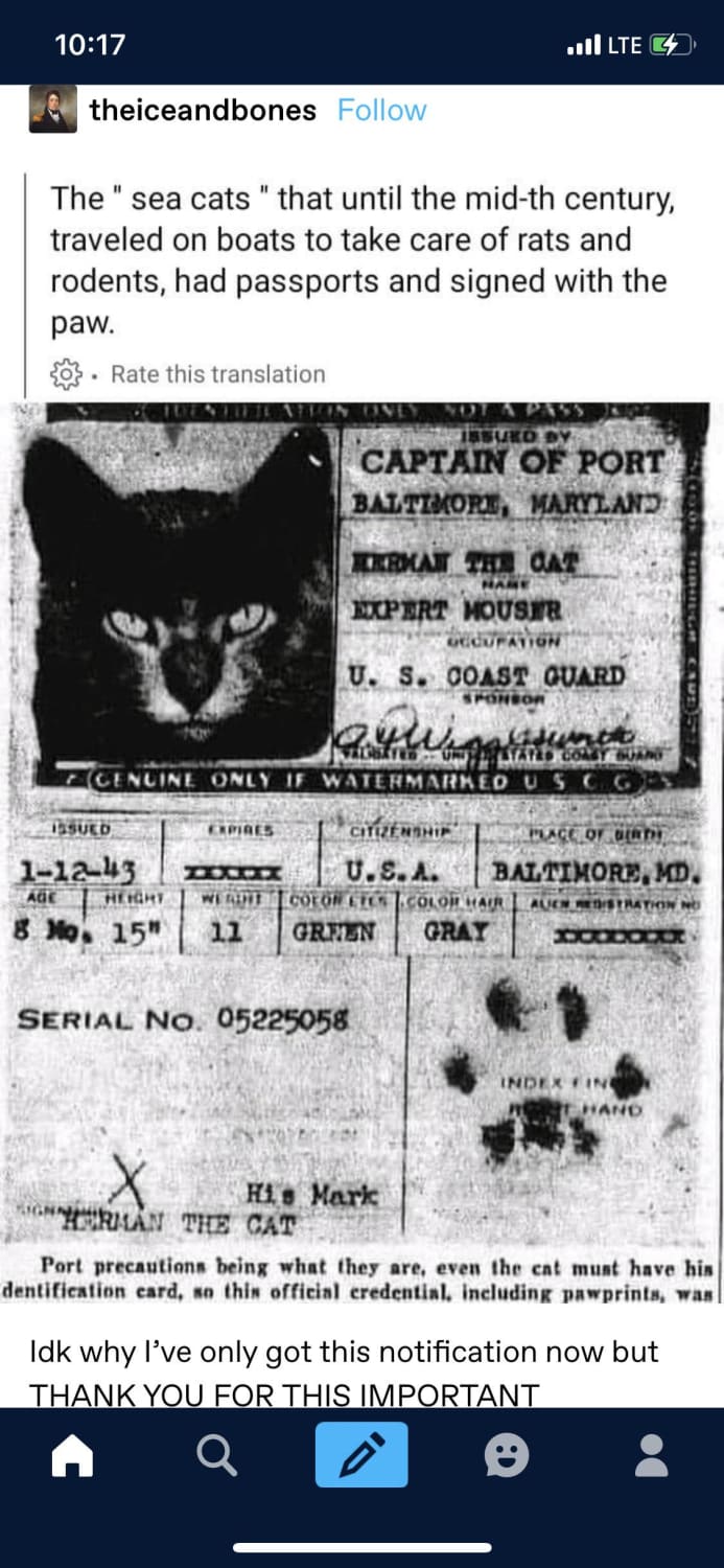 Sea cats’ve existed around the world for ages to hunt rodents while at sea, but in the 18th/19th century they used to have passport with their paw prints in the West