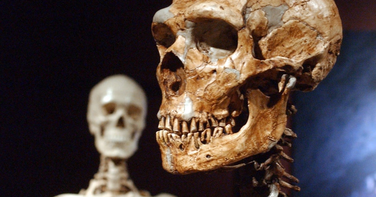 Just 7 percent of our DNA is unique to modern humans, study shows