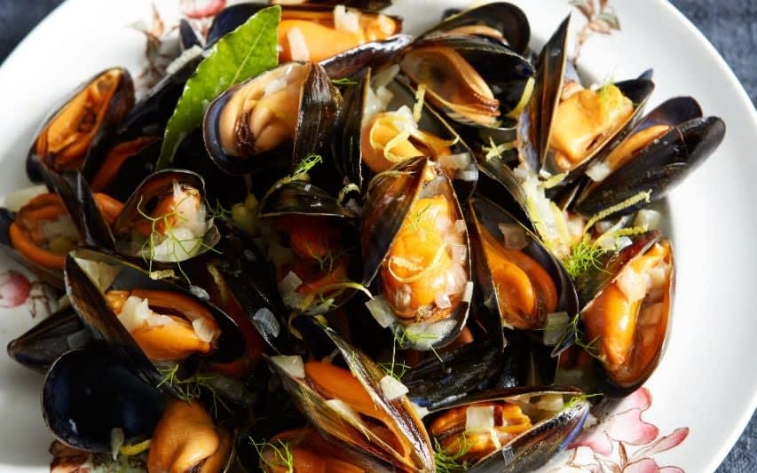 Mussels, fennel and wine recipe