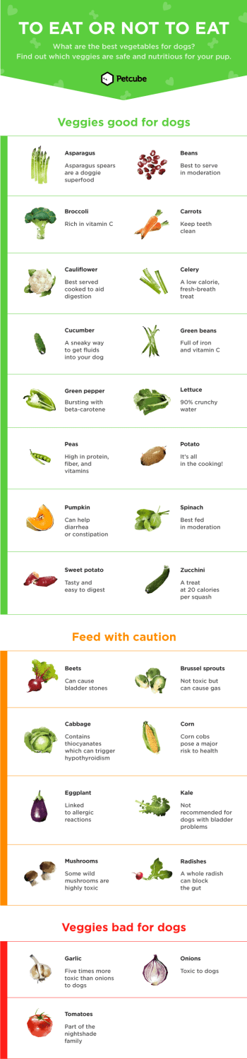 Canine Vegetable Nutrition Chart