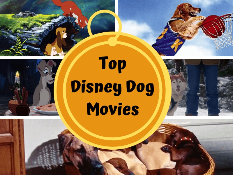 Top Disney Dog Movies To Binge Watch