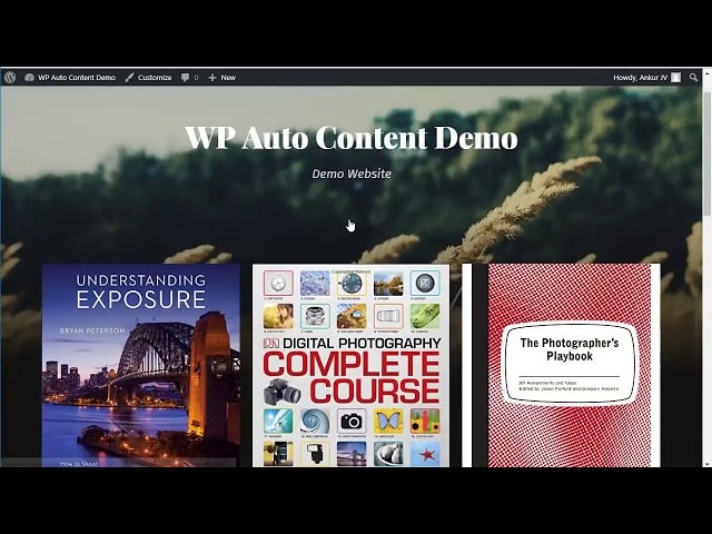 WP Auto Content review - Wordpress Autoblogging Plugin and Bonuses