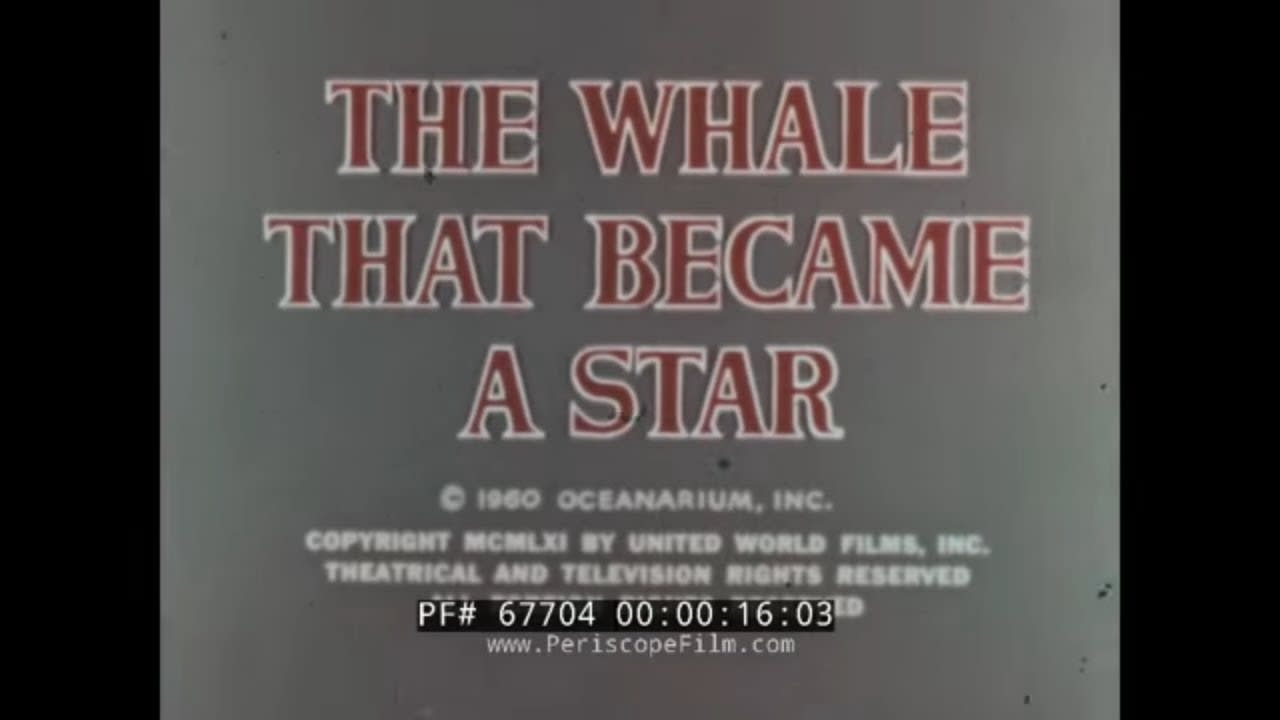 " THE WHALE THAT BECAME A STAR " MARINELAND OF THE PACIFIC PALOS VERDES CALIFORNIA 67704