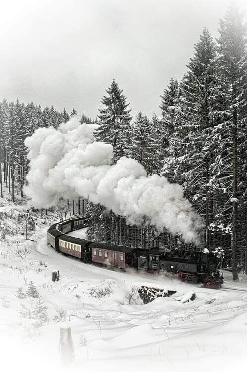 Pin by Ian Eddison on Choowoo | Black forest germany, Winter scenes, Train