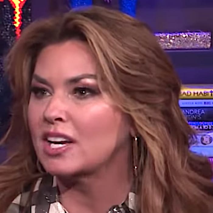 Shania Twain Pulled A Genius Move After She Peed Herself Onstage