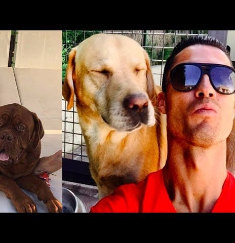 Top 10 Football Players and Their Dogs 2019