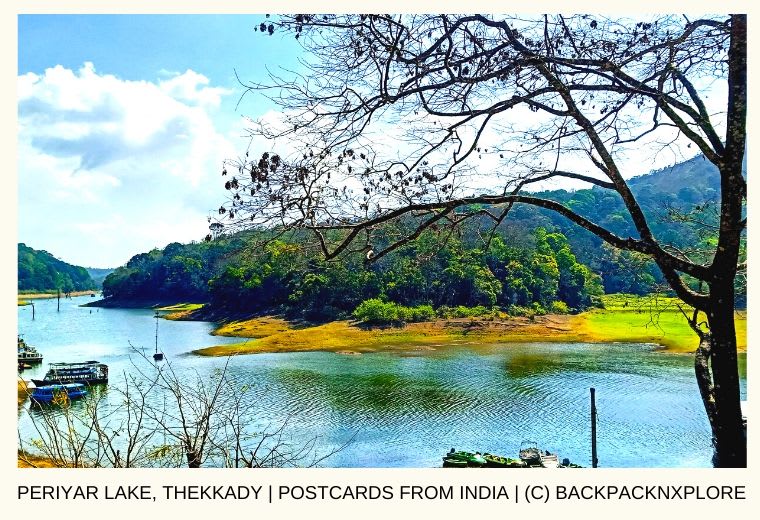 Thrilling Things to do in Thekkady - a Weekend Itinerary - Backpack & Explore
