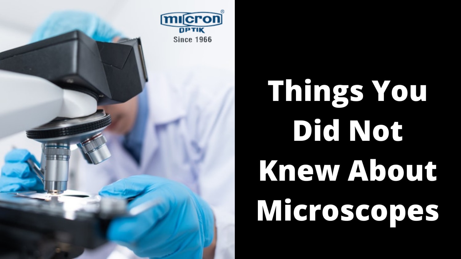 Things That You Did Not Know About Microscopes