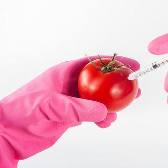 Are GMO Foods Safe To Eat? Just What Are GMOs?