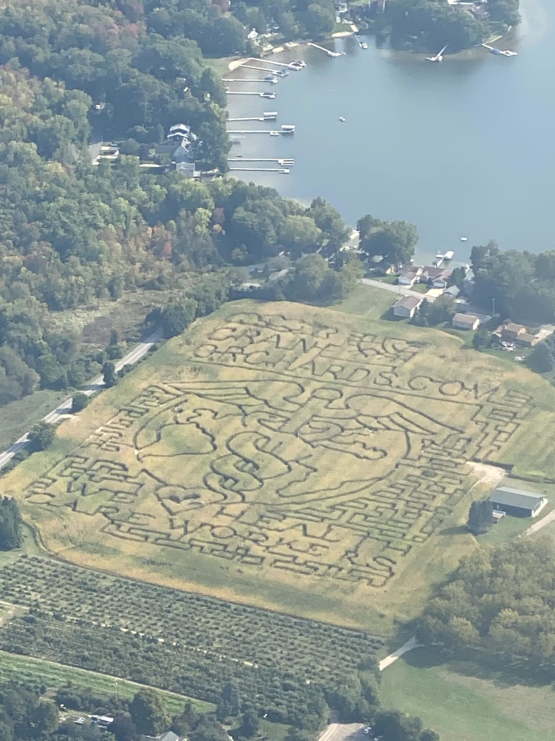 Local orchard’s corn maze from above