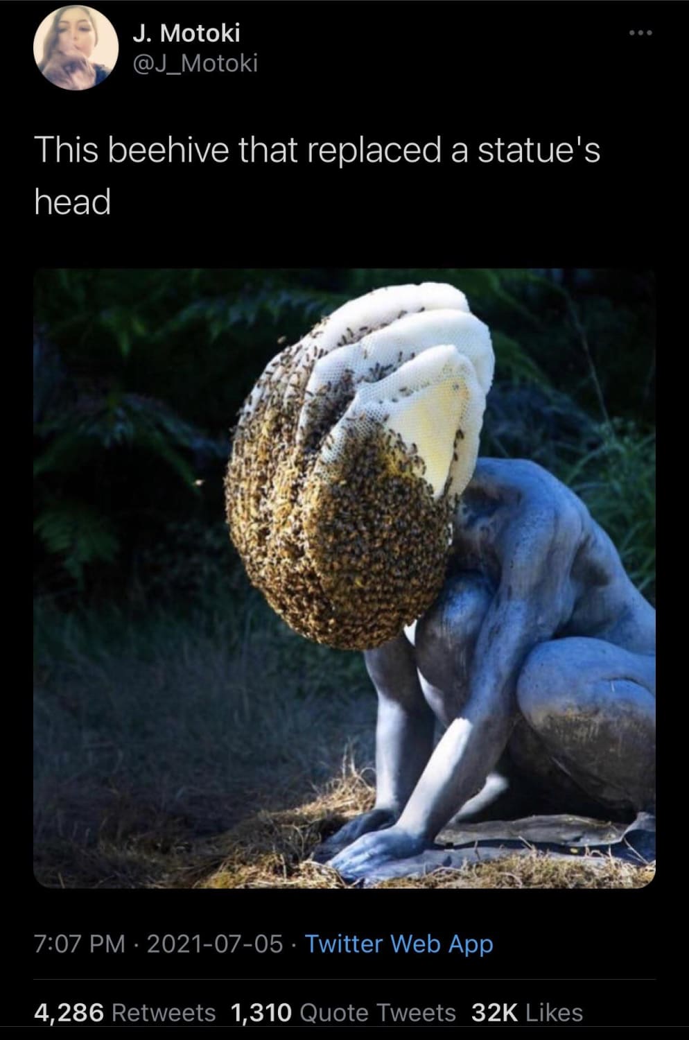Bee hive replacing statue's head