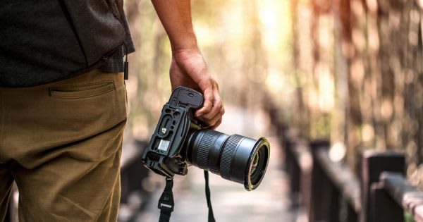 How to Be a Professional Wildlife Photographer