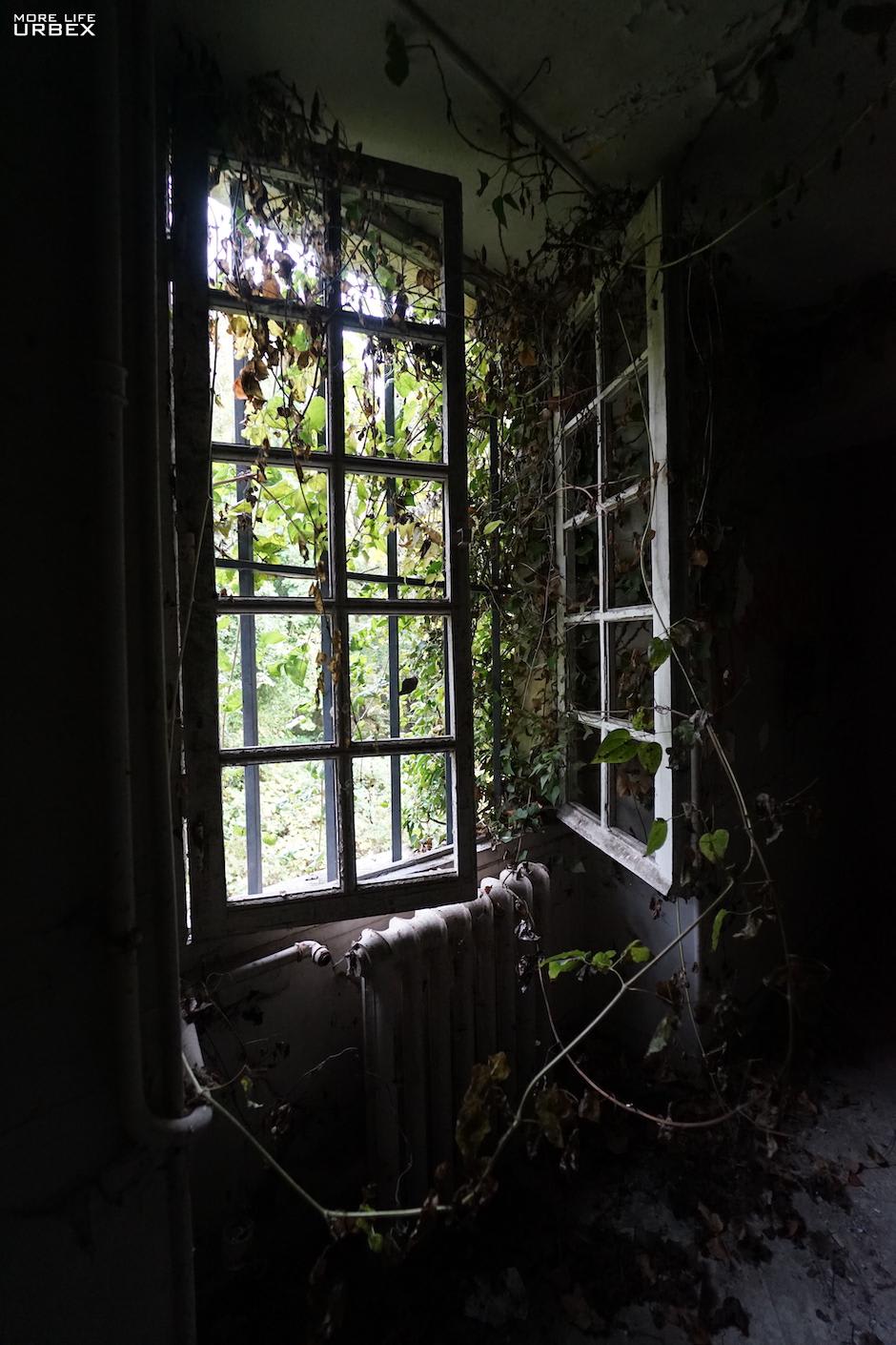 In an overgrown castle in France.