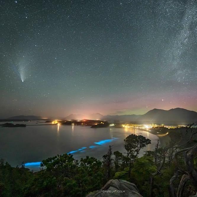 NEOWISE, bioluminescent algae, Aurora Borealis, and the Milky Way all