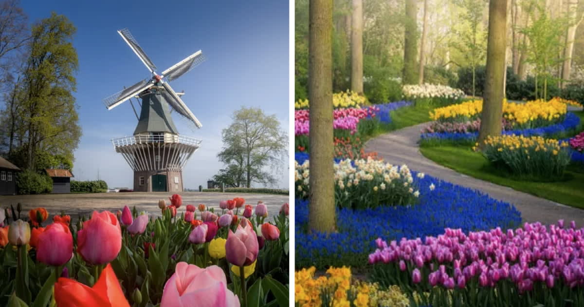 What The 'World's Most Beautiful' Flower Garden Looks Like With No Visitors