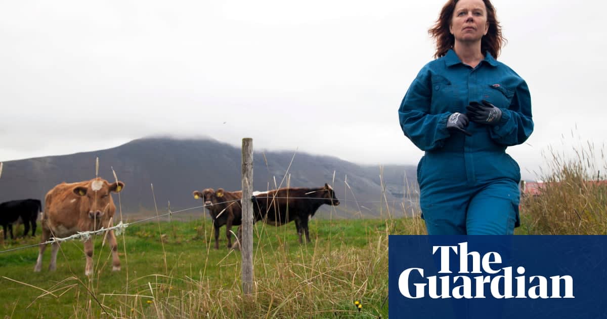 'They're behaving as capitalists': the film inspired by Iceland's farming stranglehold