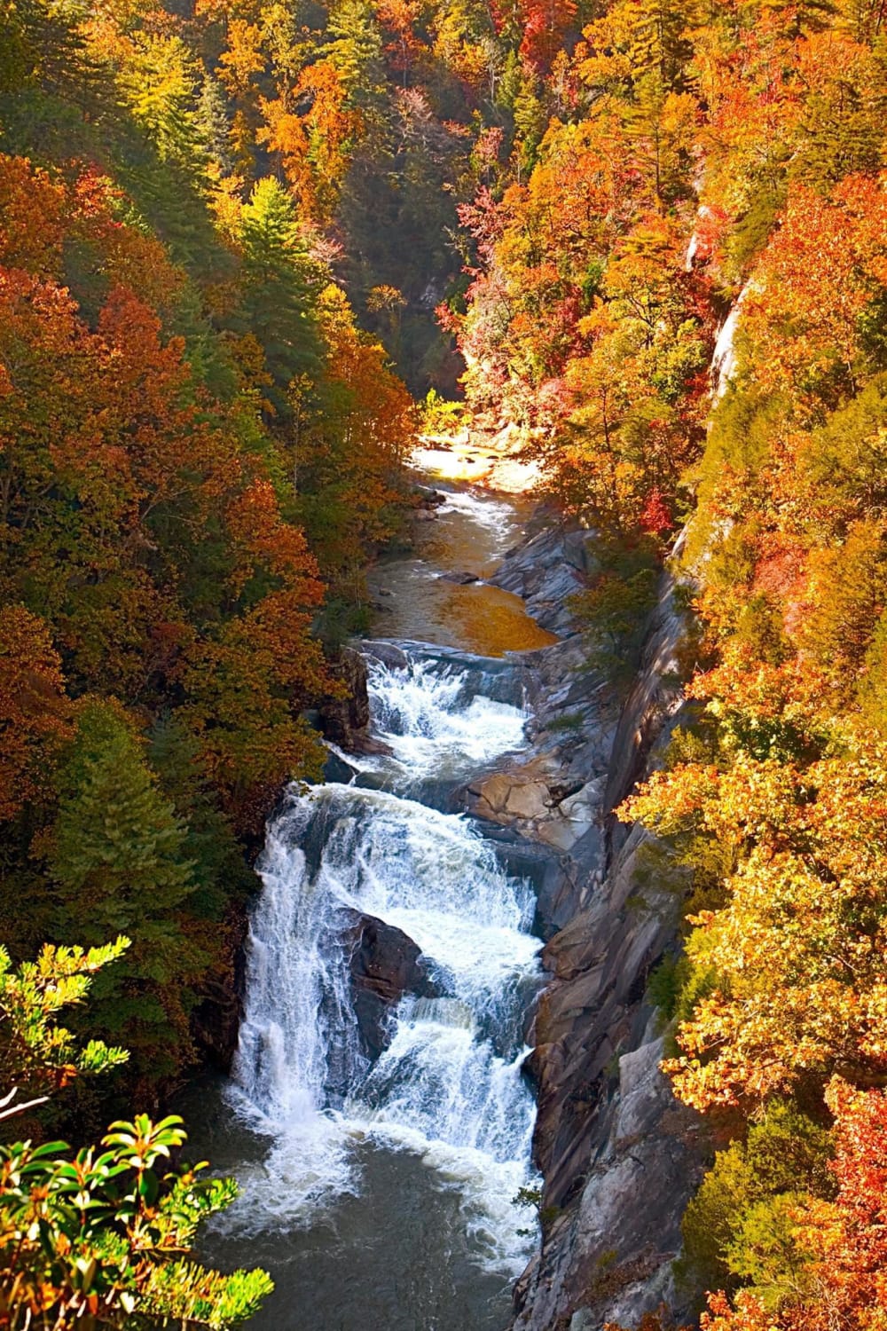 The Tallulah river carves its way through Tallulah Gorge State Park in North Georgia.