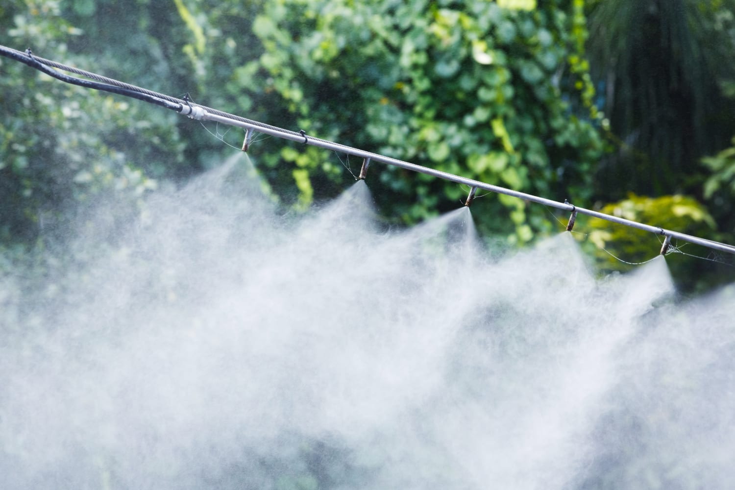 DIY Misting System for Your Greenhouse, Barn, or Patio Party