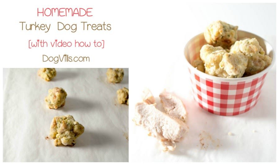 Surprise Fido on Thanksgiving with a Homemade Turkey Treat for Dogs!