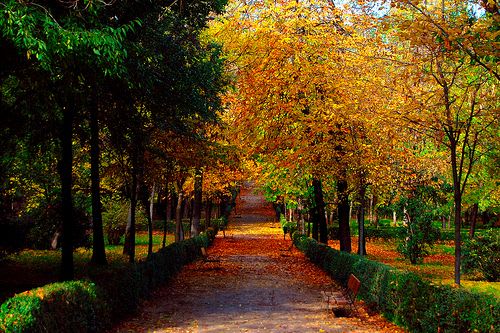 Autumn Park, Madrid, Spain photo via ribbons | Scenic photos, Spanish places, Vacation places