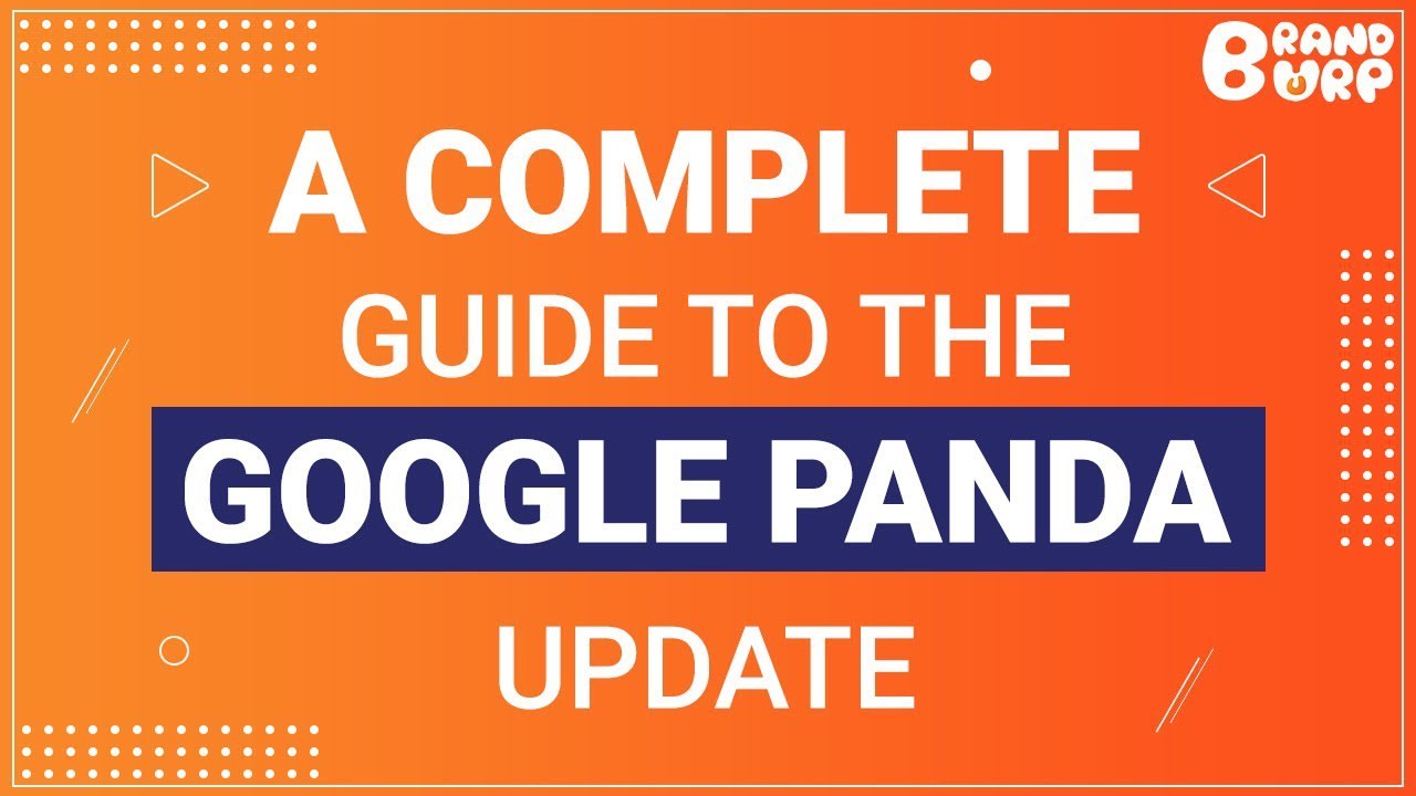 A Complete Guide to the Google Panda Update