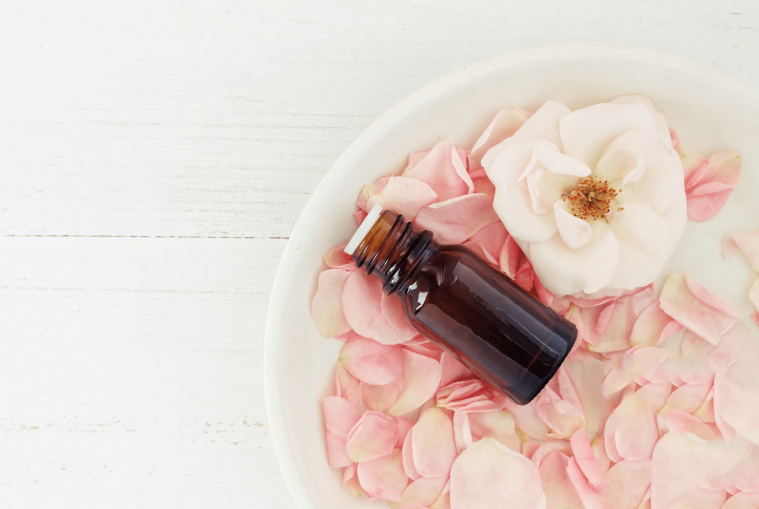 Why Everyone Is Obsessed With Essential Oils - The Well Balanced Millennial