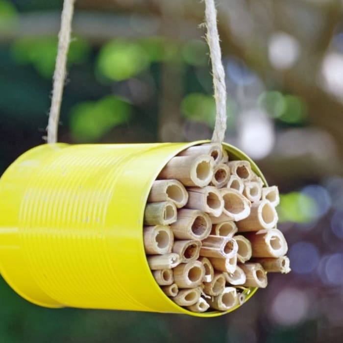 DIY Mason Bee House to Help Save the Pollinators!