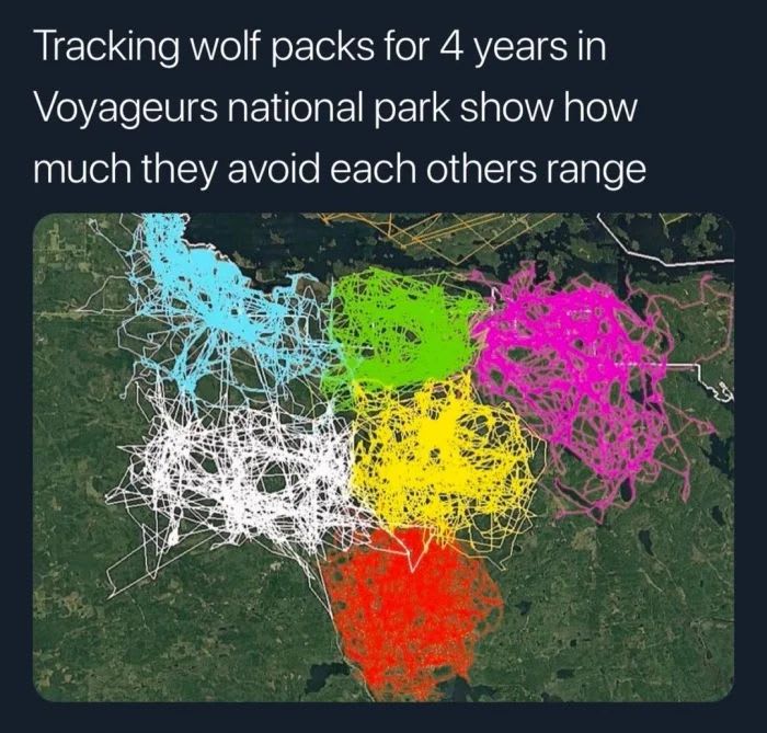 The wolf pack map