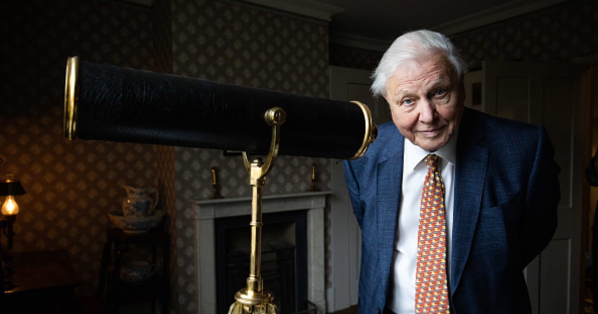BBC Launches Daily Lessons for Kids in Quarantine With Experts and Celebs Like David Attenborough