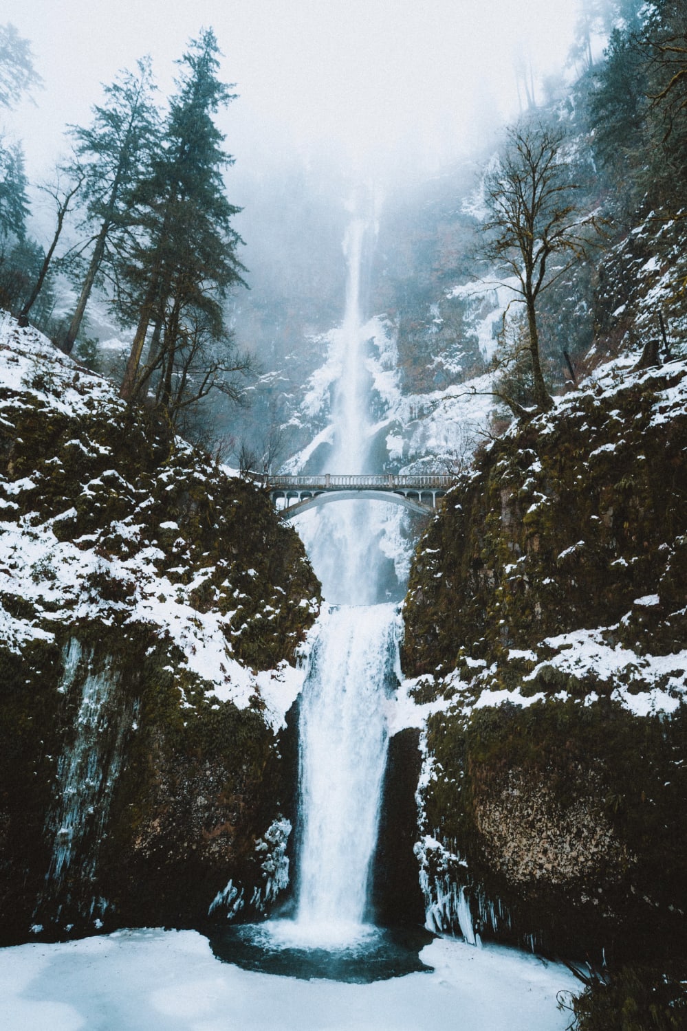 Oregon is looking beautiful this winter.