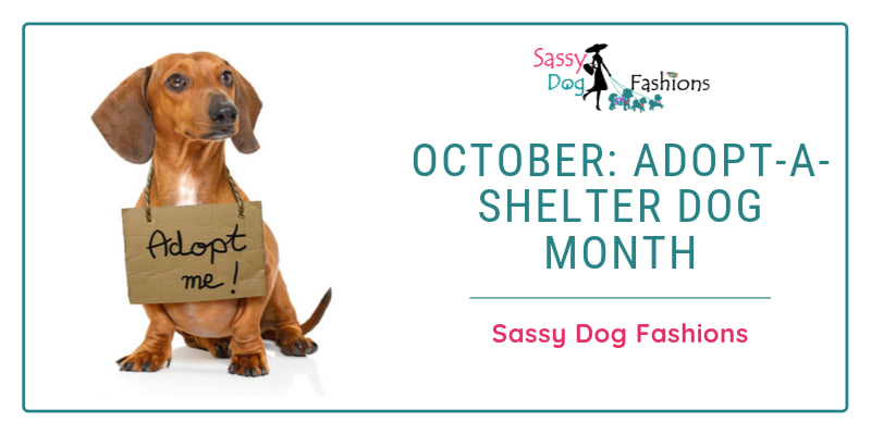 October: Adopt-A-Shelter Dog Month