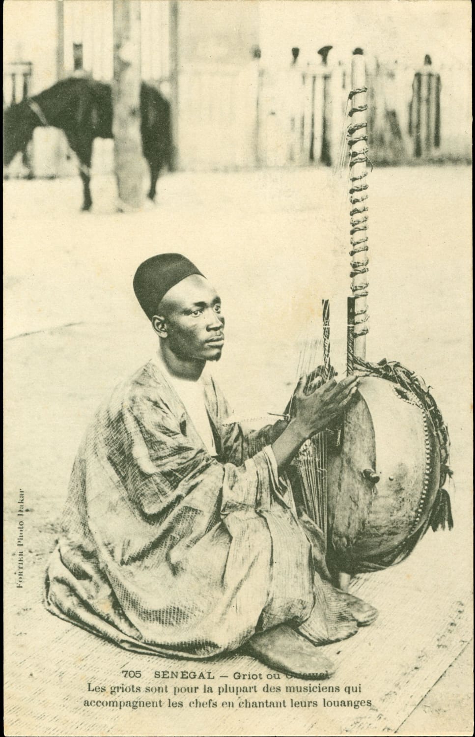 A griot (musician and story-teller) with his kora (calabash harp) (Senegal c1904)