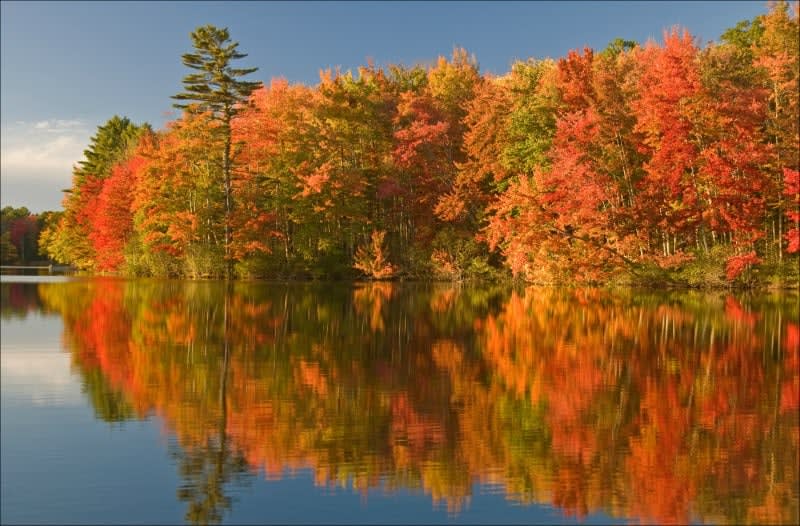 Leaf-Peeping Maine, NH, VT, and CT: New England Fall Foliage