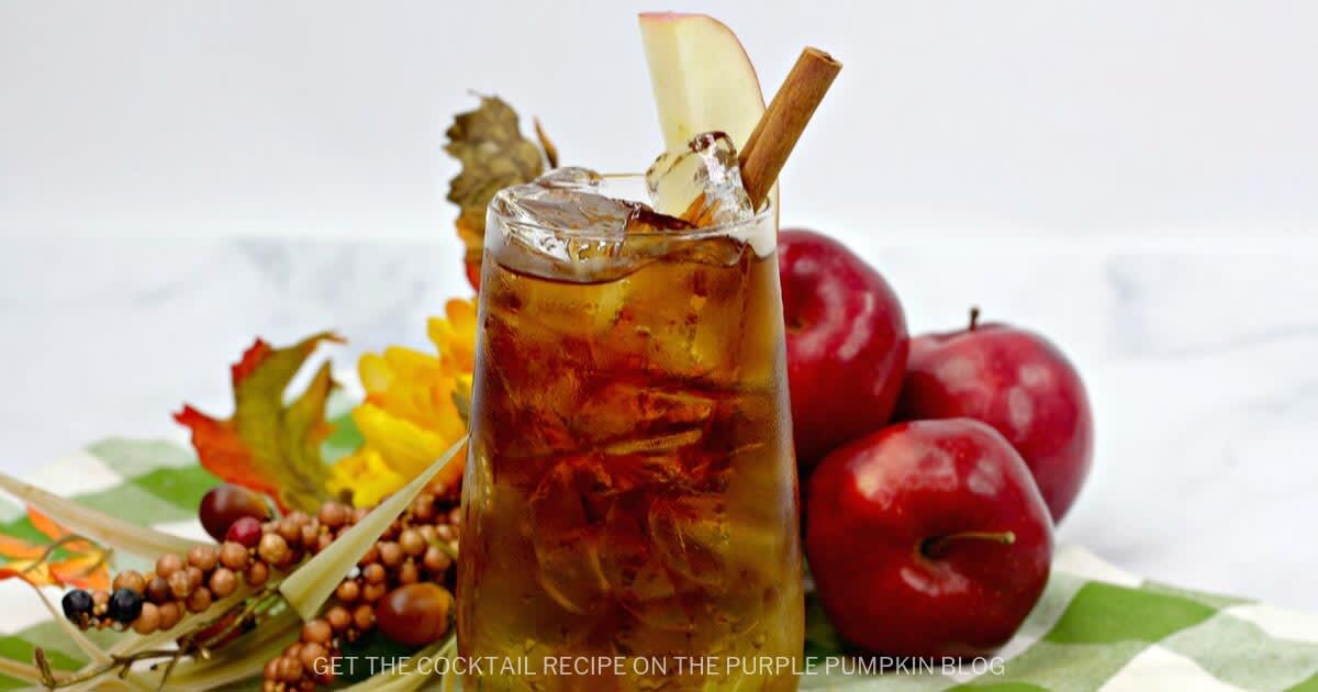 Apple Cider Dark and Stormy Cocktail - A Perfect Fall Alcoholic Beverage!