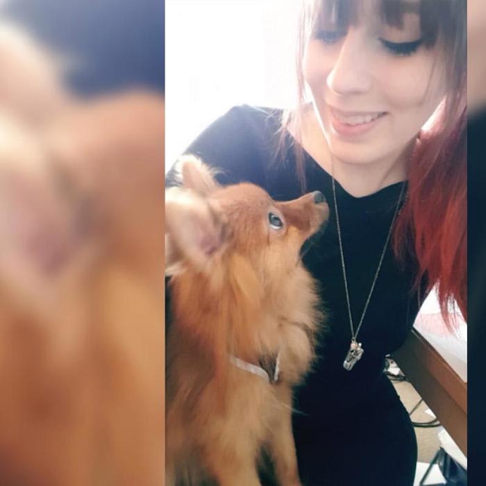 Dog owner says pup was kicked to death by teen during walk