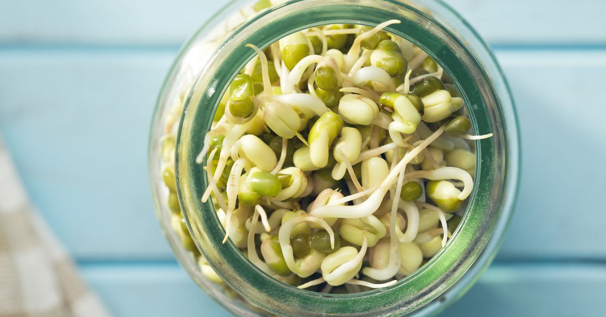 Sick of Those Panic-Bought Beans? Try Sprouting Them
